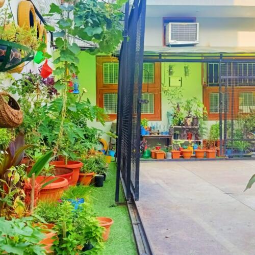 Garden one side view